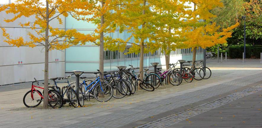 Bicycles outside the Faculty of Law